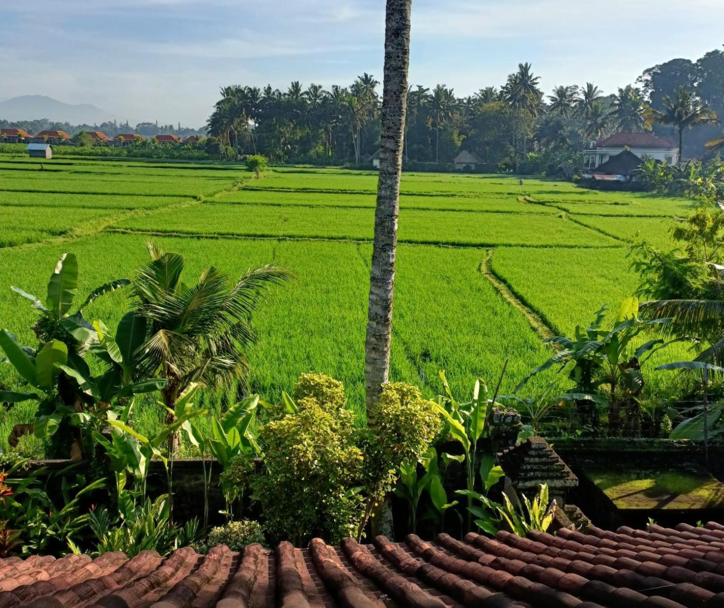 Runa House Of Design Ubud Eksteriør bilde